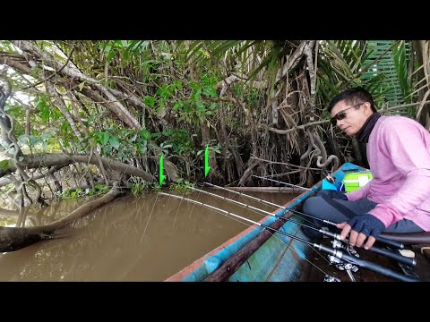 Видео: Расслабляющий и приятный день для ловли креветок