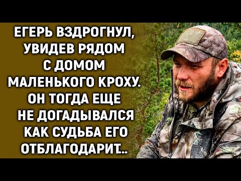 Видео: Егерь увидел рядом с домом маленького кроху. Он тогда еще не догадывался…