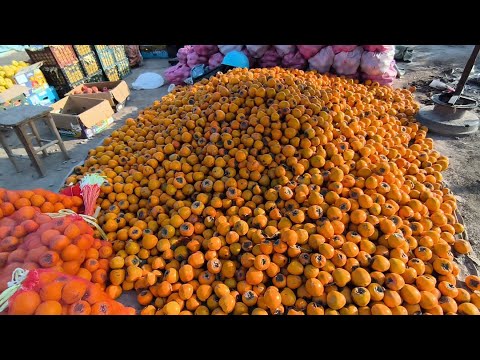 Видео: ‼️ХУРМОЛАР НАРХЛАРИ ЯНА УЗГАРДИ. ТУРТКУЛ БОЗОРИ
