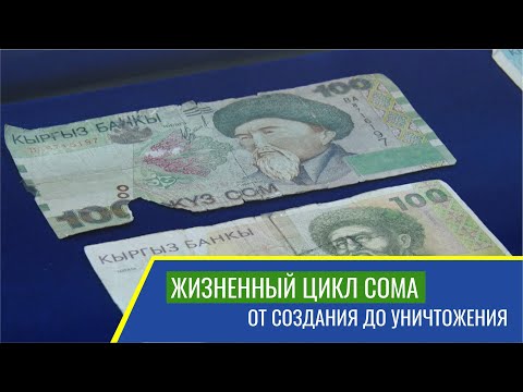 Видео: Музей денег