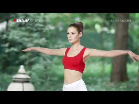 Видео: Йога для всех: Полный 60-минутный комплекс для НОВИЧКОВ (Легко!)