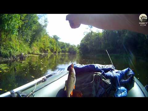 Видео: Сплав по р.Псел...осень 2014...4 день...bogomaz05