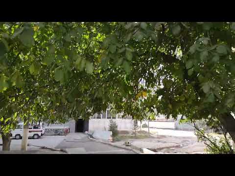 Видео: Ангрен и большой обзор квартала 5/5 по кругу  Жуковского Говорухина Коробаусайная и и чуть Чикрызова