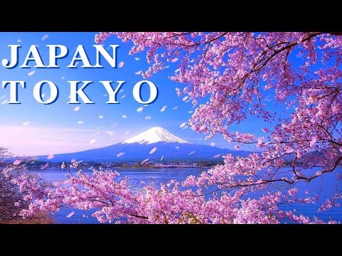 Видео: Очень красивая японская песня. TOKYO CITY.