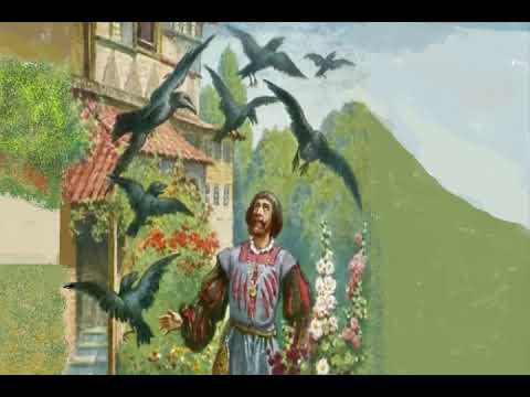 Видео: Седемте гарвана