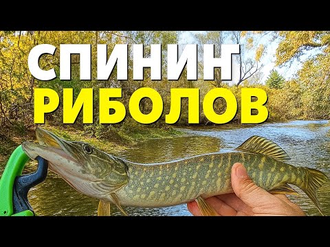 Видео: КАЗАХА МИ, ЧЕ НА ТОВА МЯСТО НЯМАЛО РИБА, А АЗ ГИ НАКЪСАХ 😁