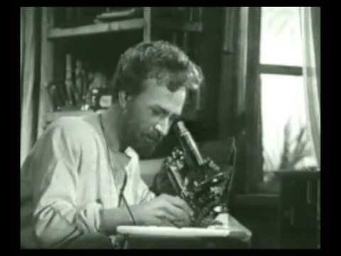 Видео: Улица Миклухо-Маклая