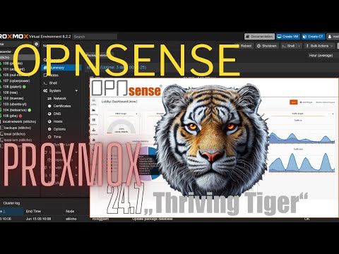 Видео: Подробное описание начальной настройки OPNsense с нуля