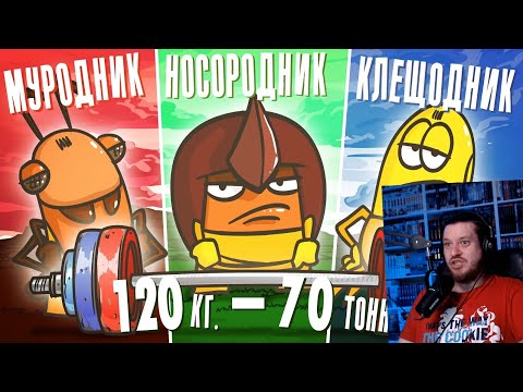 Видео: Кто поднимет больше всех | РЕАКЦИЯ НА ДОКТОРА ГНУСА