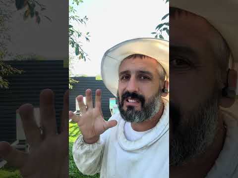 Видео: Всі нуклеуси готові в зиму !!!