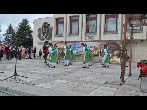 Видео: ДТШ "НАСТРОЕНИЕ" Раднево 14.02.2024-2