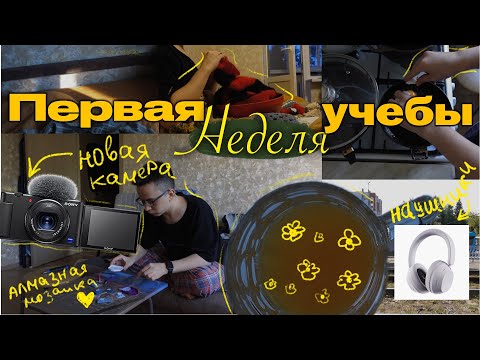 Видео: Учёба, театр и друзья — моя насыщенная первая неделя в магистратуре