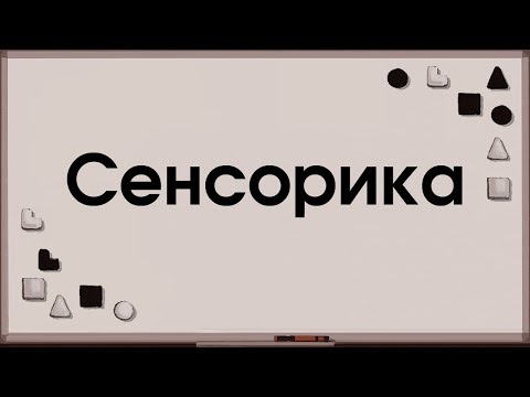 Видео: Макроаспекты: Сенсорика