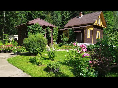 Видео: Дачные проблемы/Дача нужна не только лишь всем...
