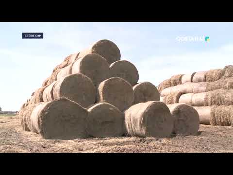 Видео: «Агробизнес» // Ауыл шаруашылығындағы жетістіктер мен болашақ жоспарлар