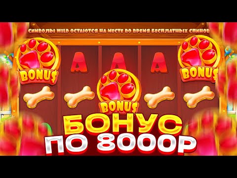 Видео: ДЕП 1.300.000Р! БОНУС ПО 8000Р В DOG HOUSE! ВСЕ ИЛИ НИЧЕГО! ПОЙМАЛ ЗАНОС В ДОГ ХАУС