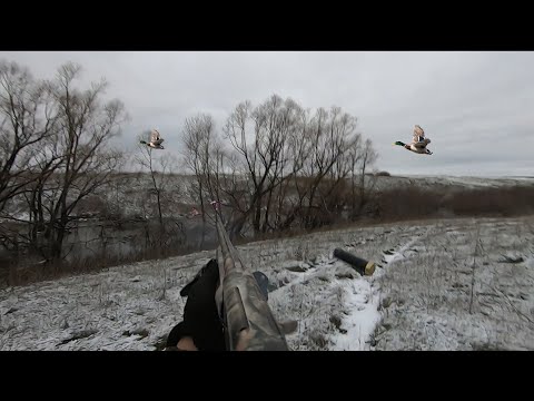 Видео: Охота на уток и куропаток  по первому снегу с собакой Джесси! 👍👍👍 МР-155 , hunting and fishing