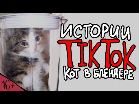 Видео: ИСТОРИИ TIKTOK: Кот в Блендере | Ужасная история из тиктока.
