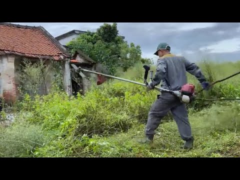 Видео: Уборка заросшего двора в заброшенном доме | Безумные «до и после»