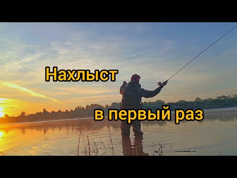 Видео: нахлыст впервые. рыбалка. река Вятка. fly fishing for the first time. fishing. the Vyatka River.