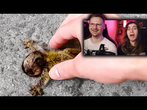 Видео: ЖИВОТНЫЕ, КОТОРЫЕ ПОПРОСИЛИ ПОМОЩИ У ЛЮДЕЙ | РЕАКЦИЯ
