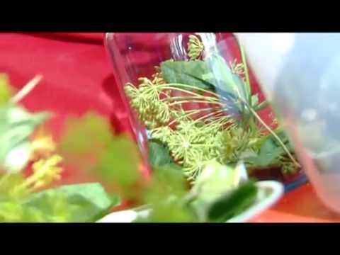 Видео: Аэрогриль Хоттер (HOTTER) Консервация