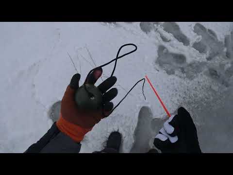 Видео: Рыбалка с  эхолотом Deeper Chirp+  зимой