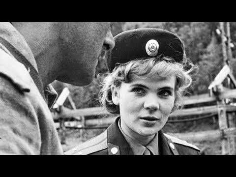 Видео: Хозяйки порядка таежного поселка, 1969