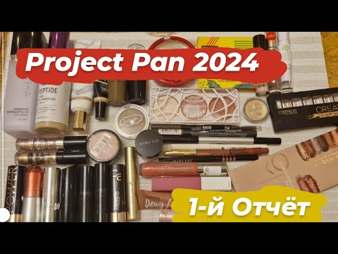 Видео: Project Pan 2024 // 1-й Отчёт 🩷