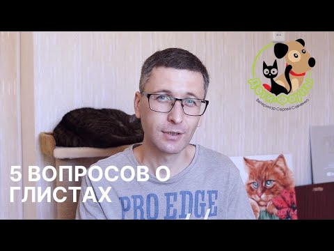 Видео: Что лучше от глистов, капли на холку или таблетки?