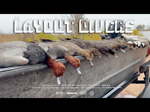 Видео: Макет Boat Diver Duck Hunting | Необрезанная версия | WI Duck Hunting 2023