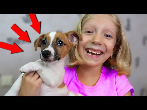 Видео: Новый ПИТОМЕЦ у МИЛАНЫ? РЕАКЦИЯ МИЛАНЫ! Кто Теперь Будет Жить в Семье FAMILY BOX?