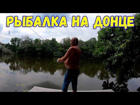 Видео: РЫБАЛКА НА СЕВЕРСКОМ ДОНЦЕ! Летний отходняк с Виталей, Ваней, Пирожком