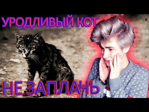 Видео: Уродливый кот | TRY NOT TO CRY CHALLENGE | САМОЕ ГРУСТНОЕ ВИДЕО 2019 | НЕ ЗАПЛАЧЬ ЧЕЛЛЕНДЖ |ПРО КОТА