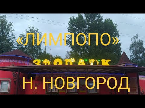 Видео: Нижний Новгород. Зоопарк «Лимпопо»