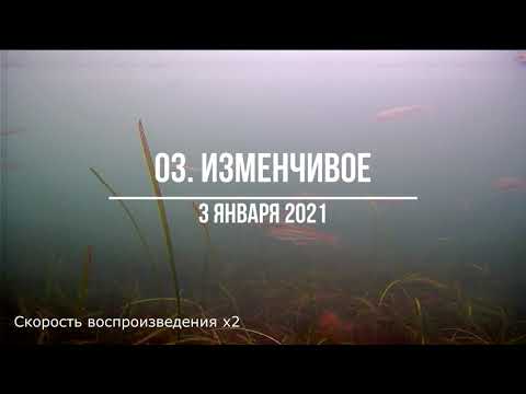 Видео: Подводная съёмка корюшки малоротки подо льдом на озере Изменчивом на Сахалине.