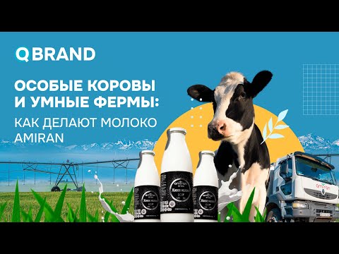 Видео: Как делают молоко Amiran | Проект QBrand