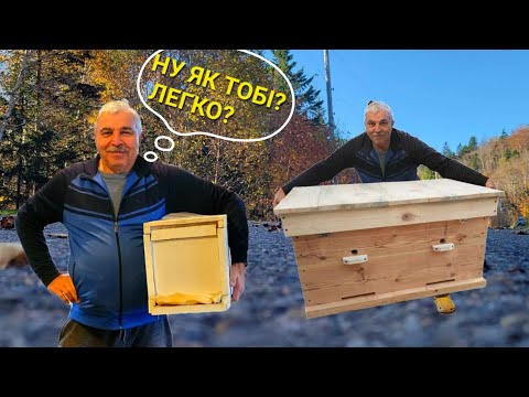 Видео: 6ти рамковий КОЧОВИЙ вулик! Універсальний!!!#пчеловодствов6тирамочныхульях