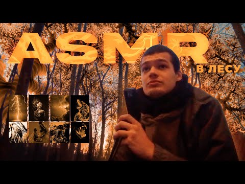 Видео: АСМР В ЛЕСУ 🍂 поздняя осень и о взглядах на вещи