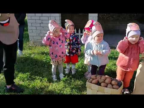 Видео: Новосілля в гарбуза. Свято-розвага