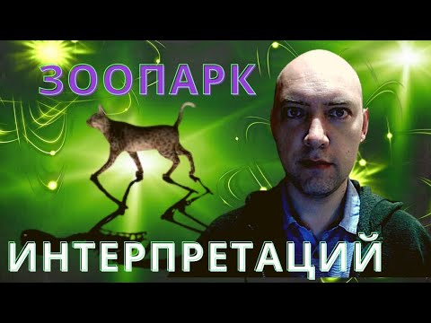 Видео: Какие имеются интерпретации квантовой механики? Душкин объяснит