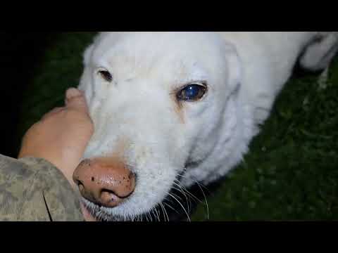 Видео: Горячая встреча  с лайками 
