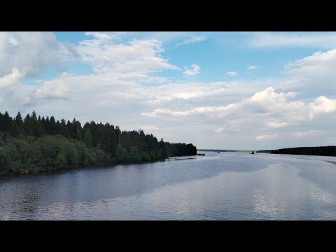 Видео: Вологодский край, Горицы, Кузино 04.06.24г