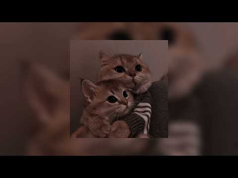 Видео: LOBODA - Твои глаза (speed up)