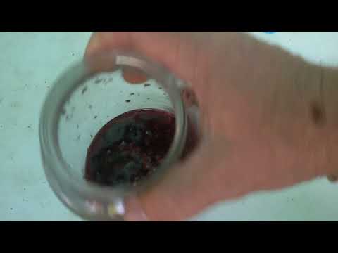 Видео: Самая простая ловушка для ос и шершней!!!