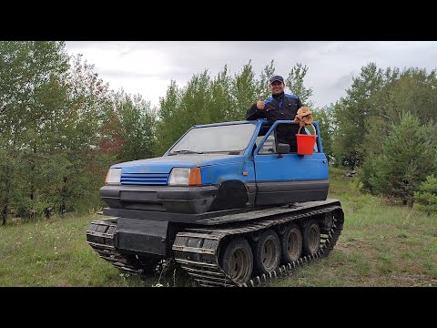 Видео: Гусеничный вездеход едет в лес за грибами, мои арбузы и картошка.