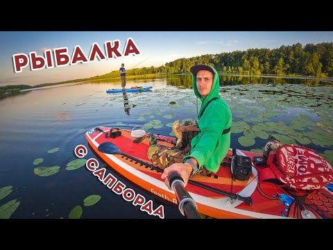 Видео: Рыбалка с SUP борда / Сапборд с Aliexpress / Сапборд с карпом