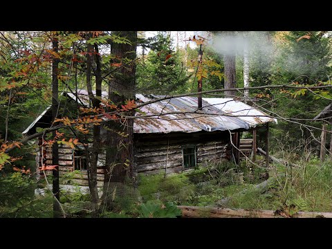 Видео: 1/2 Избе 30 лет! Заночевали там. Глухая тайга. Сибирь. Природа. Игорь Лесник