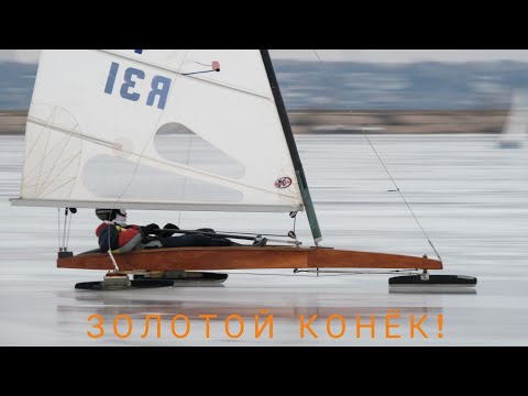 Видео: Золотой конёк