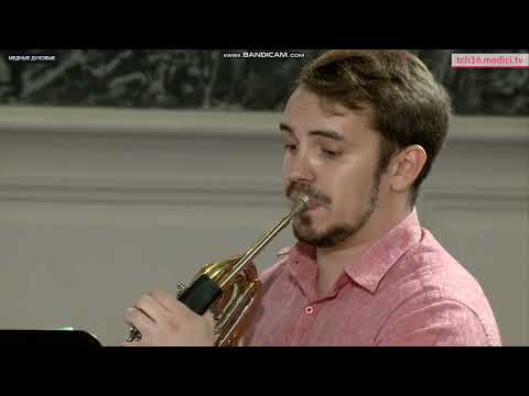 Видео: Конкурс им П. И. Чайковского В. А. П. И. Чайковский - июнь (баркарола)